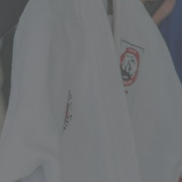 Camisetas